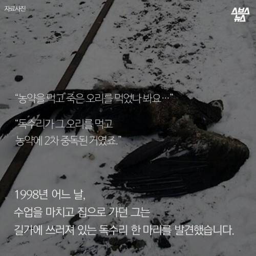18년째 독수리 먹이주는 전직 미술선생님.jpg