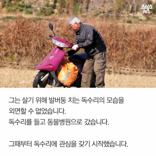 18년째 독수리 먹이주는 전직 미술선생님.jpg