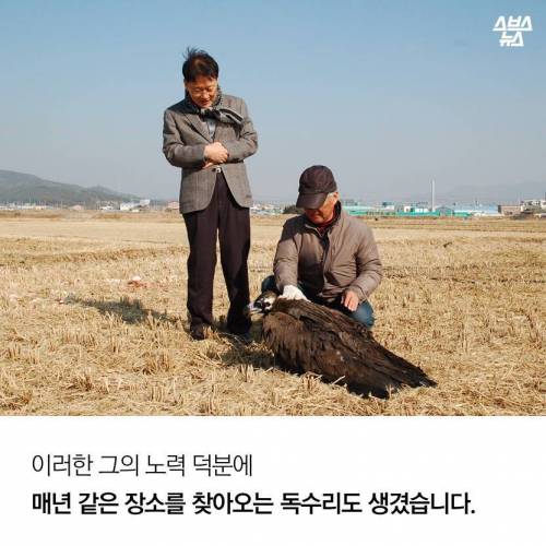 18년째 독수리 먹이주는 전직 미술선생님.jpg