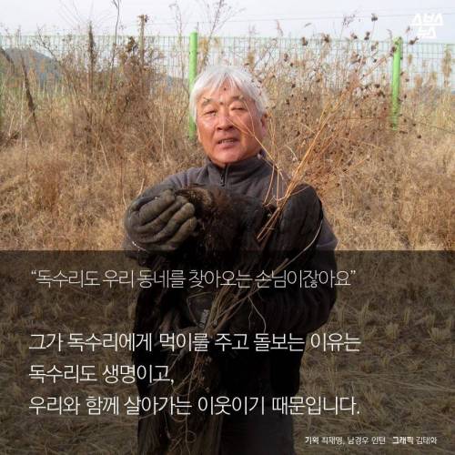 18년째 독수리 먹이주는 전직 미술선생님.jpg
