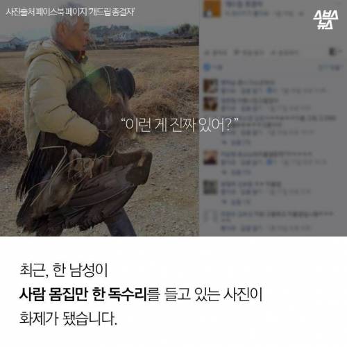 18년째 독수리 먹이주는 전직 미술선생님.jpg