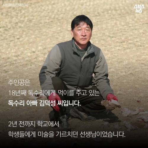18년째 독수리 먹이주는 전직 미술선생님.jpg
