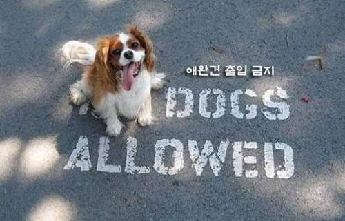 어딘가 삐딱한 사진들.jpg