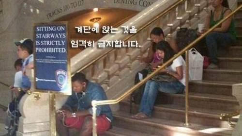 어딘가 삐딱한 사진들.jpg