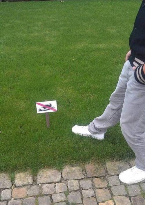 어딘가 삐딱한 사진들.jpg