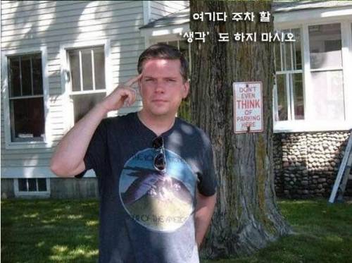 어딘가 삐딱한 사진들.jpg