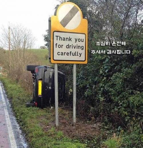 어딘가 삐딱한 사진들.jpg