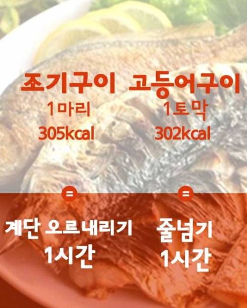 새해복 많이 받으세요!!