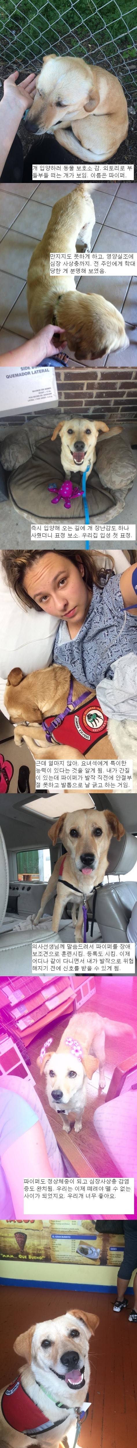 사랑을 받기 전 과 받은 후 의 차이.JPG