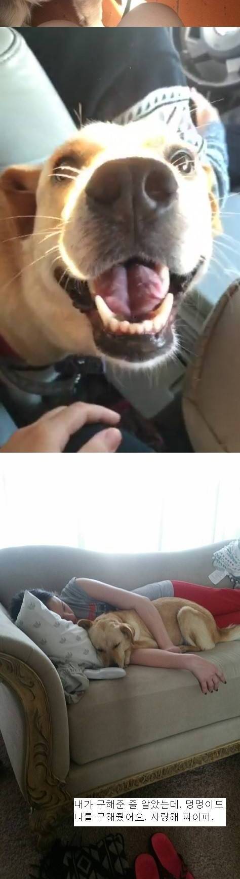 사랑을 받기 전 과 받은 후 의 차이.JPG