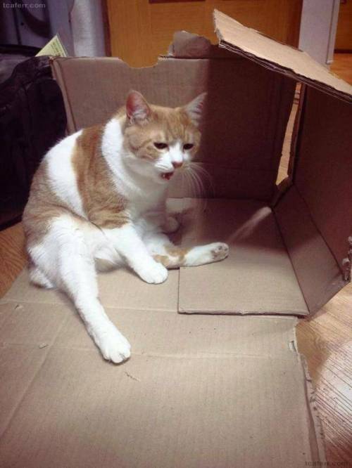 무허가 건물 강제 철거 현장.gif