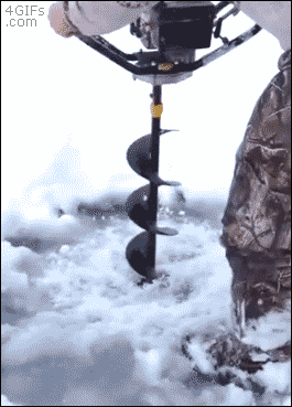 예상치 못한 결과.gif