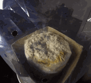 느타리 재배키트.gif