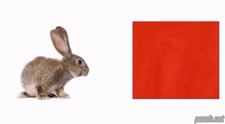 그림판 마술쇼.gif