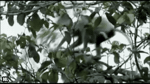점프!!.gif