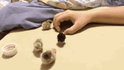 동굴이 좋아.gif