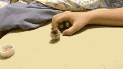 동굴이 좋아.gif