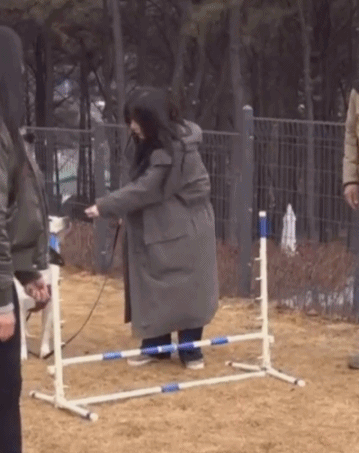 멍멍아 넘자.gif