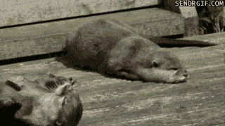 뜨거운 조개 먹는꿈.gif