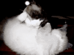 초보맘의 실수.gif