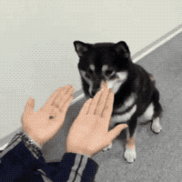 학습효과.gif