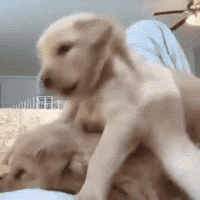 3층 멍탑.gif