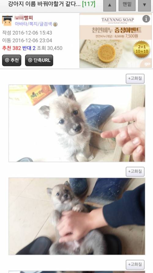 강아지 이름 바꾼다.jpg