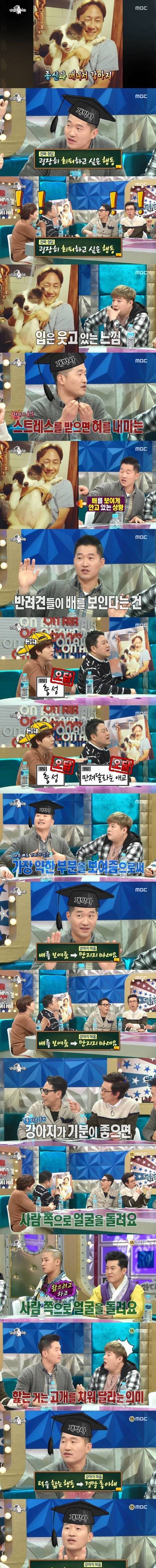 개 행동 해석.jpg