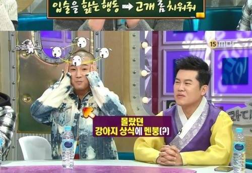 개 행동 해석.jpg