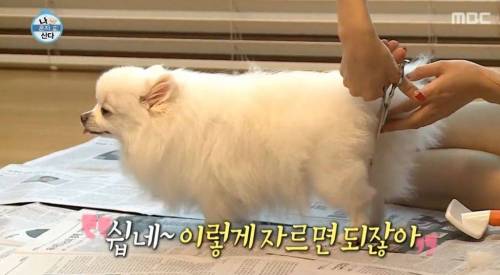 [스압] 한채아의 셀프 미용.jpg