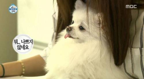 [스압] 한채아의 셀프 미용.jpg