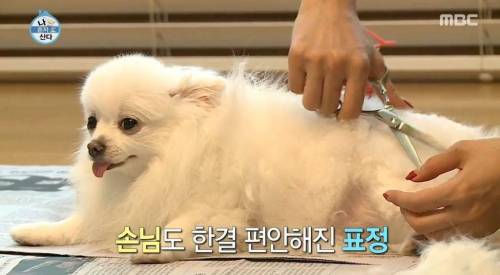 [스압] 한채아의 셀프 미용.jpg