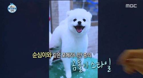 [스압] 한채아의 셀프 미용.jpg