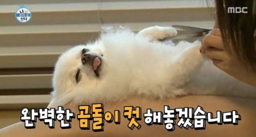 [스압] 한채아의 셀프 미용.jpg