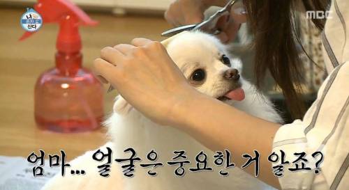 [스압] 한채아의 셀프 미용.jpg