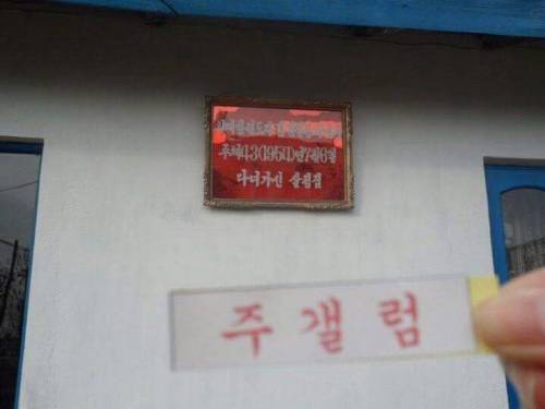 북한에 간 주갤럼.jpg