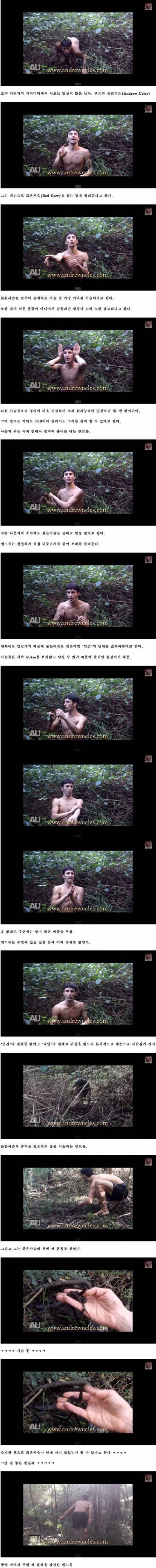 맨손으로 사슴잡기.jpg