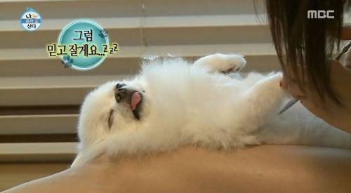 [스압] 한채아의 셀프 미용.jpg