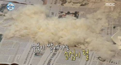 [스압] 한채아의 셀프 미용.jpg