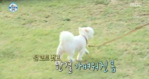 [스압] 한채아의 셀프 미용.jpg