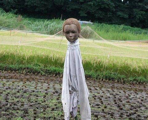 공포의 허수아비 . jpg