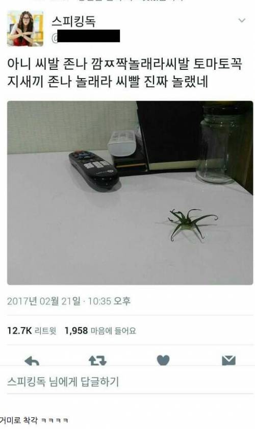 억울한 토마토 꼭지.twt