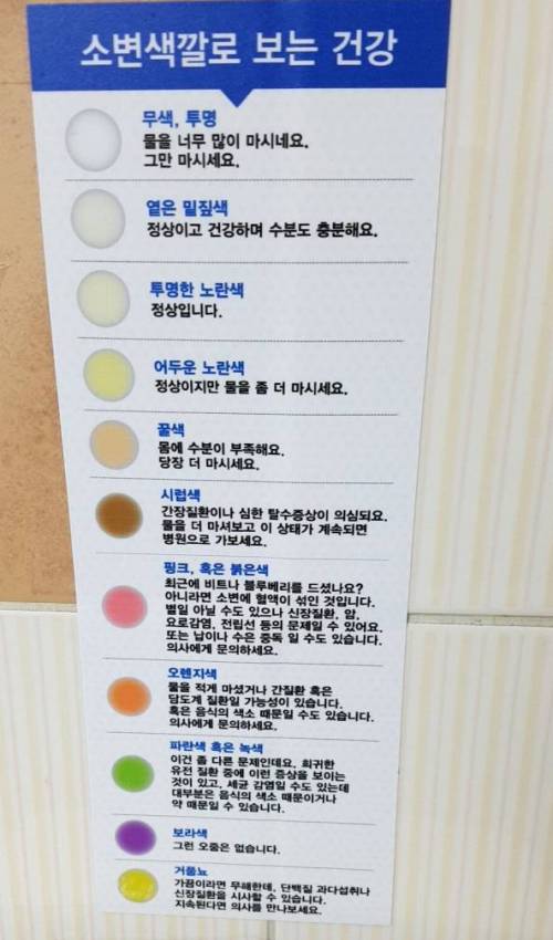 보라색 오줌.jpg