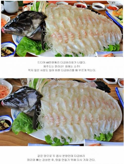 한접시에 60만원짜리 회.jpg
