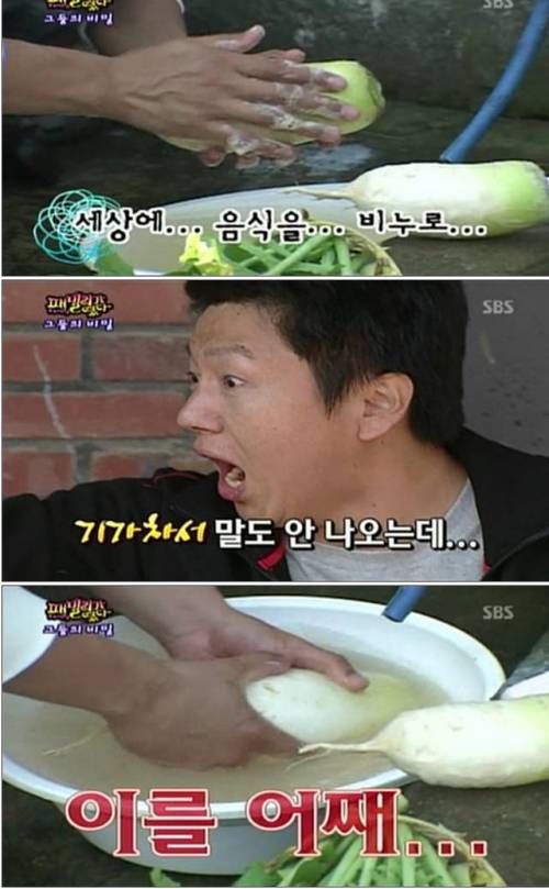 엉성천희.jpg,gif