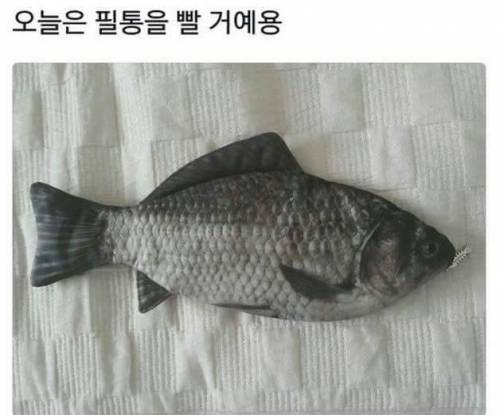 필통이 더러워져서 빨았는데.jpg