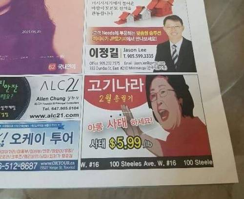 미국 교민 신문 근황.jpg