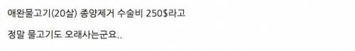 종양 제거 수술 비용 30만원.jpg