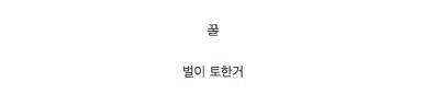 손님들이 꿀을 너무 많이 먹는다