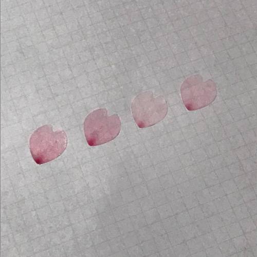 벚꽃 테이프.jpg